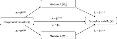 Disease Acceptance and Eudemonic Well-Being Among Adults With Physical Disabilities: The Mediator Effect of Meaning in Life